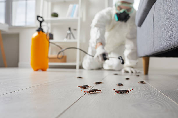 Commercial Kitchen Cockroach Control in Johnson Creek